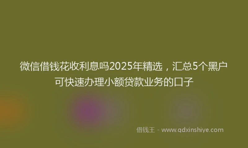 微信借钱花收利息吗2025年精选，汇总5个黑户可快速办理小额贷款业务的口子