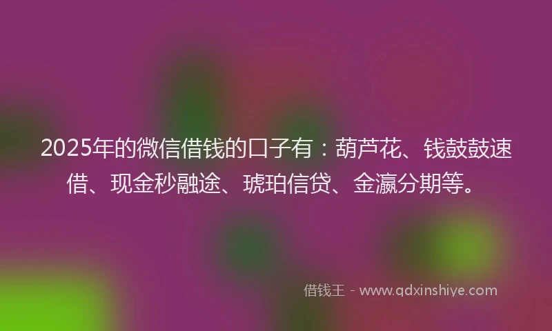 2025年的微信借钱的口子有：葫芦花、钱鼓鼓速借、现金秒融途、琥珀信贷、金瀛分期等。