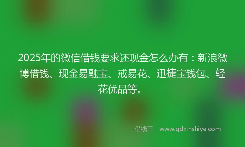 2025年的微信借钱要求还现金怎么办有：新浪微博借钱、现金易融宝、戒易花、迅捷宝钱包、轻花优品等。