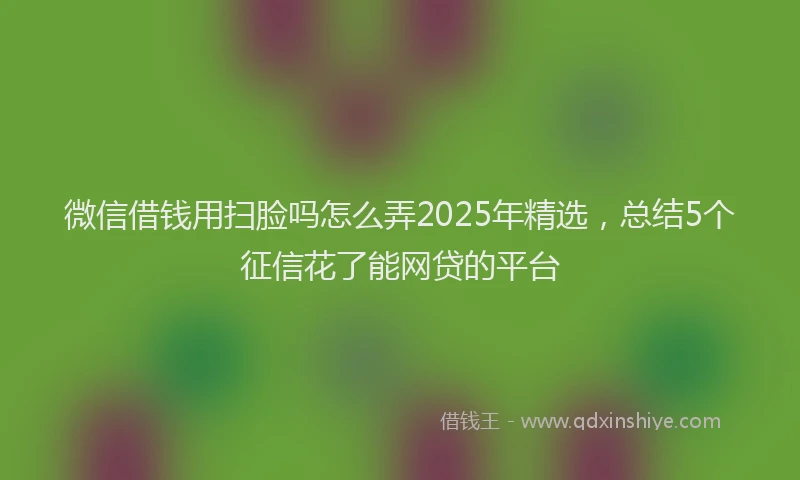 微信借钱用扫脸吗怎么弄2025年精选，总结5个征信花了能网贷的平台