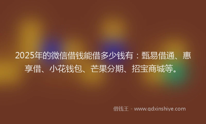 2025年的微信借钱能借多少钱有：甄易借通、惠享借、小花钱包、芒果分期、招宝商城等。