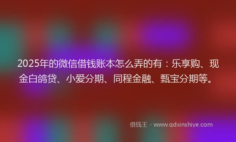 2025年的微信借钱账本怎么弄的有：乐享购、现金白鸽贷、小爱分期、同程金融、甄宝分期等。