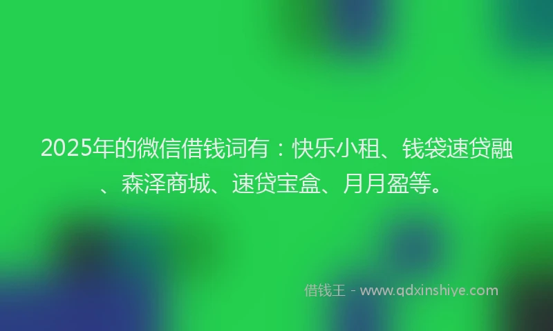 2025年的微信借钱词有：快乐小租、钱袋速贷融、森泽商城、速贷宝盒、月月盈等。