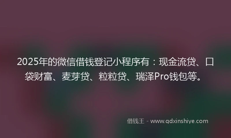 2025年的微信借钱登记小程序有：现金流贷、口袋财富、麦芽贷、粒粒贷、瑞泽Pro钱包等。