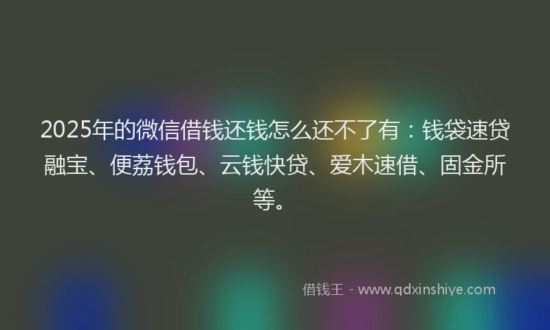 2025年的微信借钱还钱怎么还不了有：钱袋速贷融宝、便荔钱包、云钱快贷、爱木速借、固金所等。