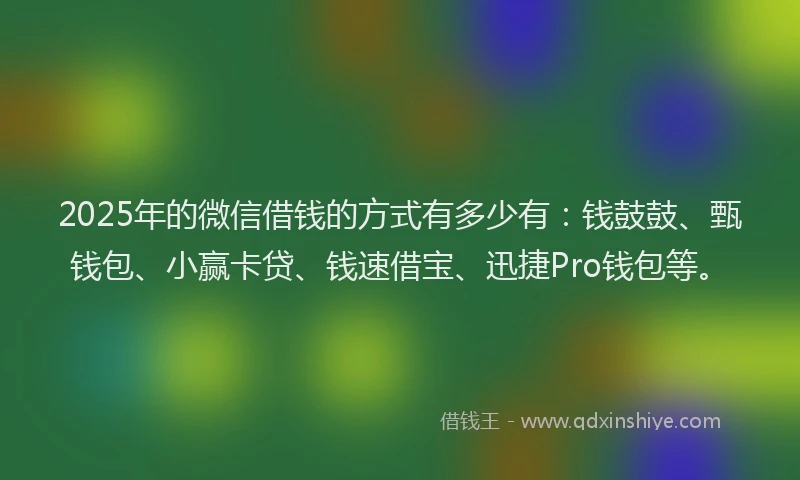 2025年的微信借钱的方式有多少有：钱鼓鼓、甄钱包、小赢卡贷、钱速借宝、迅捷Pro钱包等。