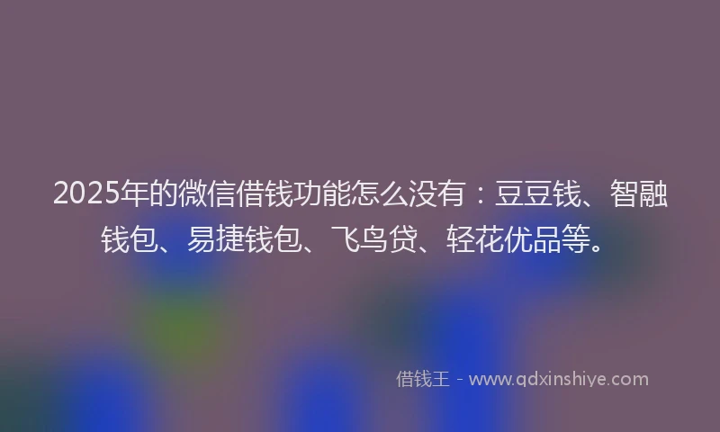 2025年的微信借钱功能怎么没有：豆豆钱、智融钱包、易捷钱包、飞鸟贷、轻花优品等。