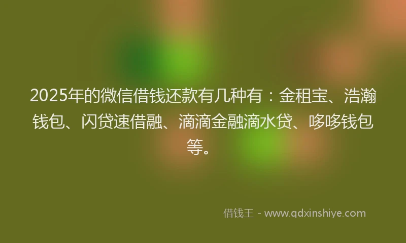 2025年的微信借钱还款有几种有：金租宝、浩瀚钱包、闪贷速借融、滴滴金融滴水贷、哆哆钱包等。