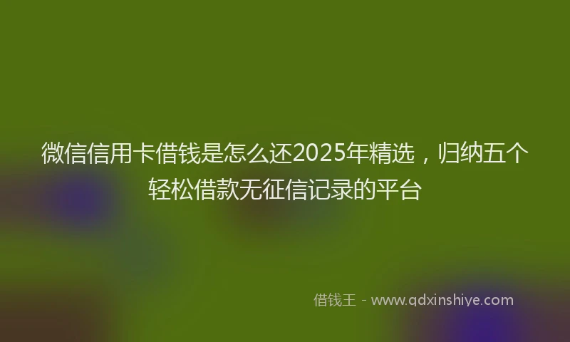 微信信用卡借钱是怎么还2025年精选，归纳五个轻松借款无征信记录的平台