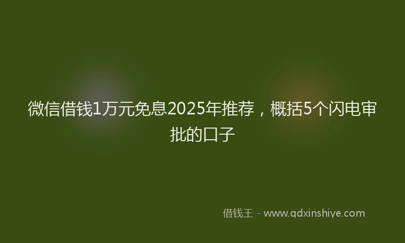 微信借钱1万元免息2025年推荐，概括5个闪电审批的口子