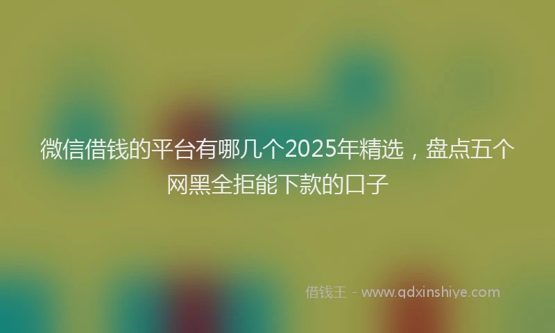 微信借钱的平台有哪几个2025年精选，盘点五个网黑全拒能下款的口子