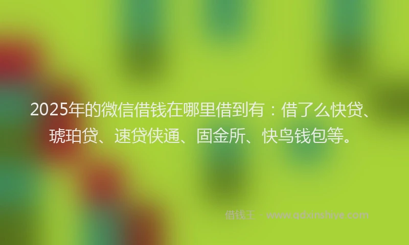 2025年的微信借钱在哪里借到有：借了么快贷、琥珀贷、速贷侠通、固金所、快鸟钱包等。