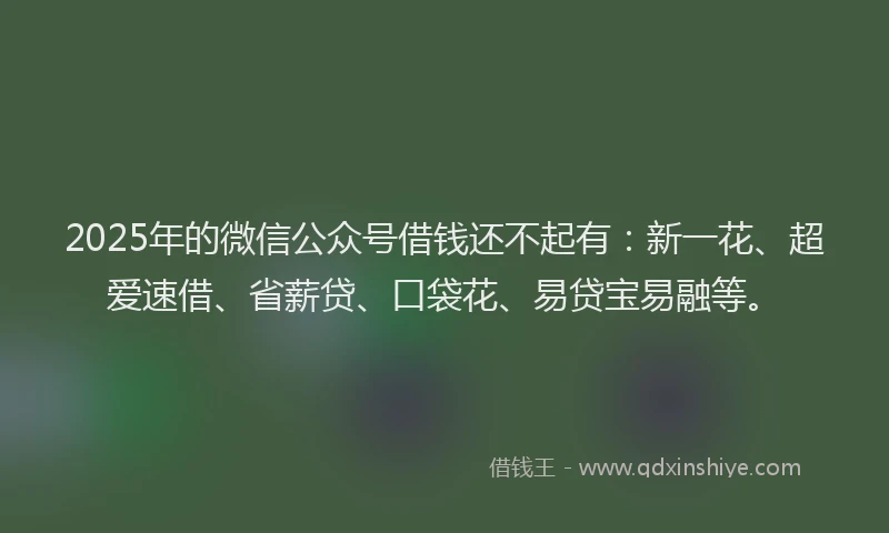 2025年的微信公众号借钱还不起有：新一花、超爱速借、省薪贷、口袋花、易贷宝易融等。