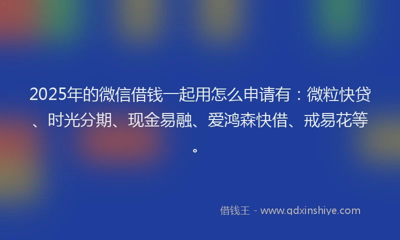 2025年的微信借钱一起用怎么申请有：微粒快贷、时光分期、现金易融、爱鸿森快借、戒易花等。