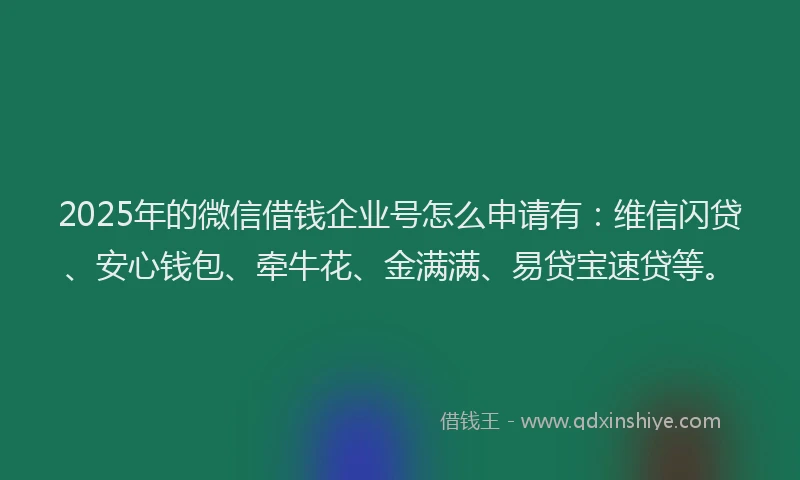 2025年的微信借钱企业号怎么申请有：维信闪贷、安心钱包、牵牛花、金满满、易贷宝速贷等。