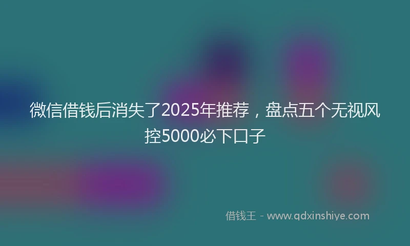 微信借钱后消失了2025年推荐，盘点五个无视风控5000必下口子