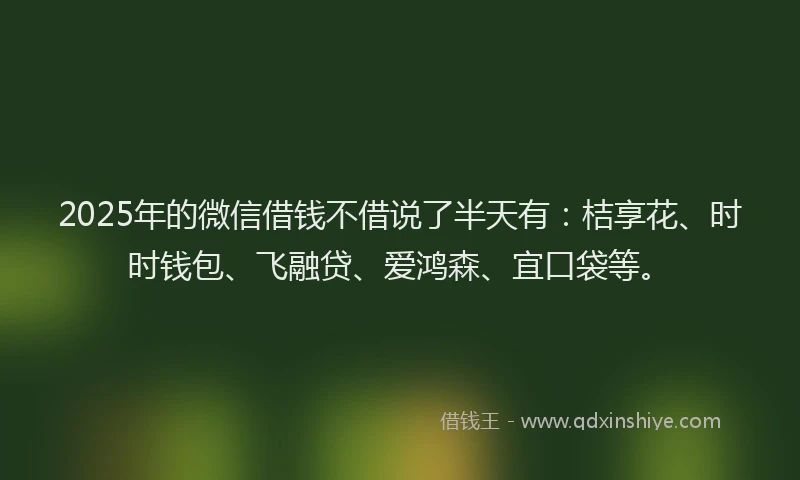 2025年的微信借钱不借说了半天有：桔享花、时时钱包、飞融贷、爱鸿森、宜口袋等。