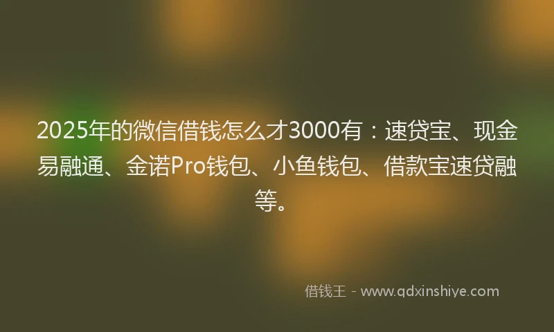 2025年的微信借钱怎么才3000有：速贷宝、现金易融通、金诺Pro钱包、小鱼钱包、借款宝速贷融等。