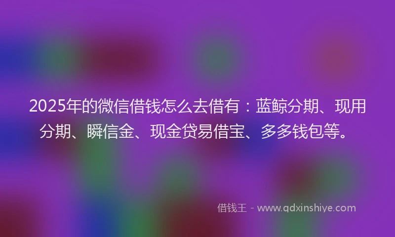 2025年的微信借钱怎么去借有：蓝鲸分期、现用分期、瞬信金、现金贷易借宝、多多钱包等。