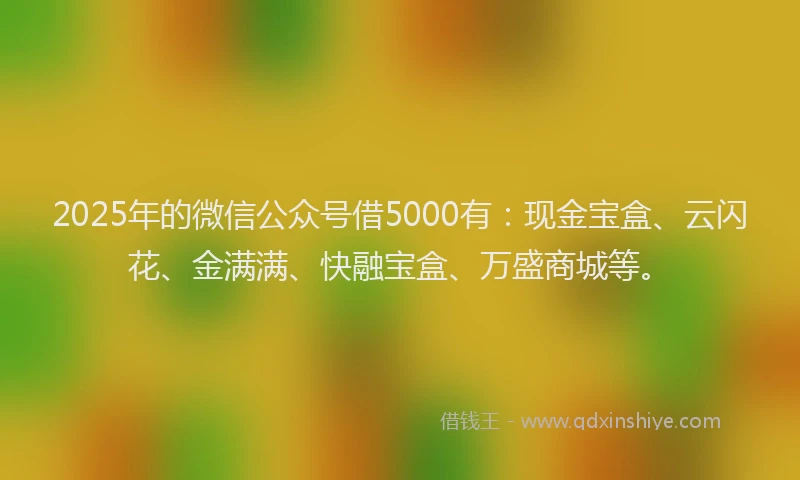 2025年的微信公众号借5000有：现金宝盒、云闪花、金满满、快融宝盒、万盛商城等。