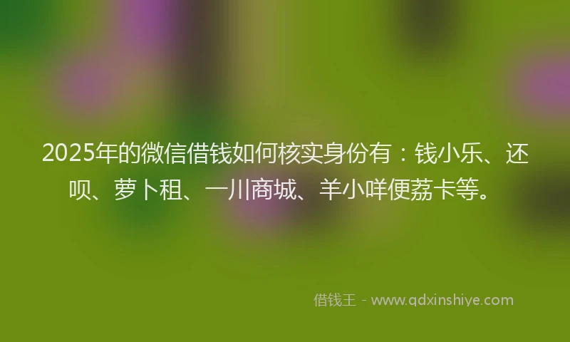 2025年的微信借钱如何核实身份有：钱小乐、还呗、萝卜租、一川商城、羊小咩便荔卡等。