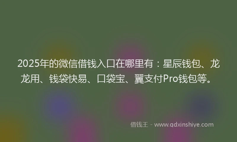 2025年的微信借钱入口在哪里有：星辰钱包、龙龙用、钱袋快易、口袋宝、翼支付Pro钱包等。
