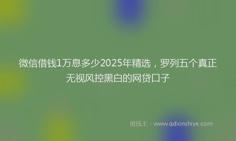 微信借钱1万息多少2025年精选，罗列五个真正无视风控黑白的网贷口子