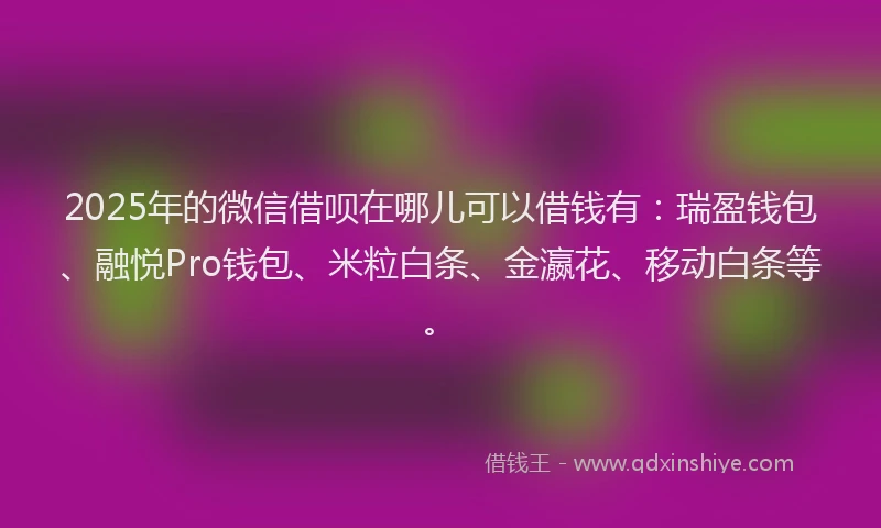 2025年的微信借呗在哪儿可以借钱有：瑞盈钱包、融悦Pro钱包、米粒白条、金瀛花、移动白条等。