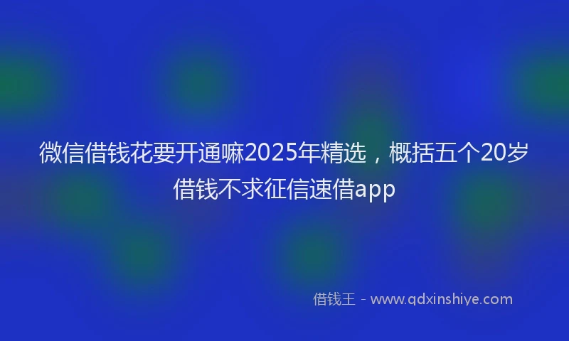微信借钱花要开通嘛2025年精选，概括五个20岁借钱不求征信速借app