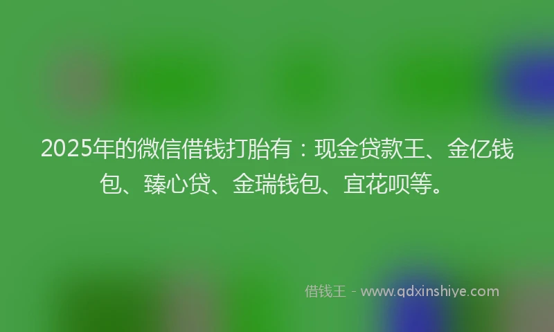 2025年的微信借钱打胎有：现金贷款王、金亿钱包、臻心贷、金瑞钱包、宜花呗等。