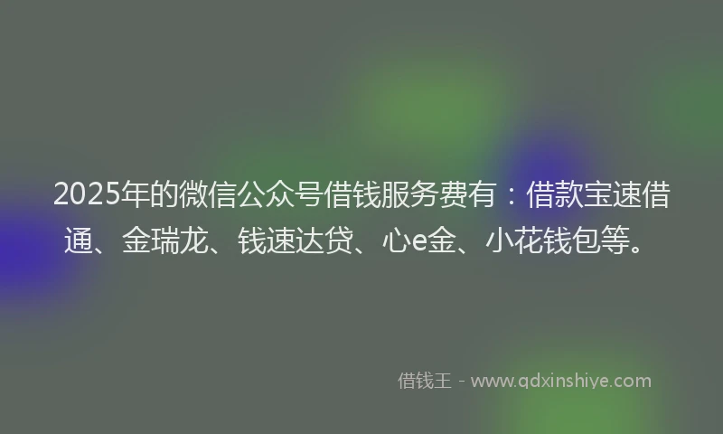 2025年的微信公众号借钱服务费有：借款宝速借通、金瑞龙、钱速达贷、心e金、小花钱包等。