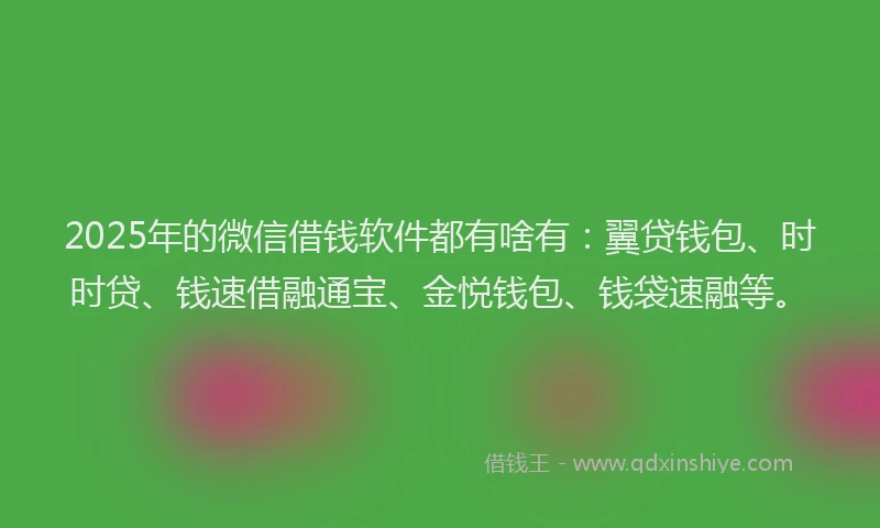2025年的微信借钱软件都有啥有：翼贷钱包、时时贷、钱速借融通宝、金悦钱包、钱袋速融等。