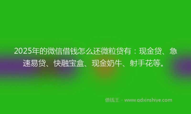 2025年的微信借钱怎么还微粒贷有：现金贷、急速易贷、快融宝盒、现金奶牛、射手花等。