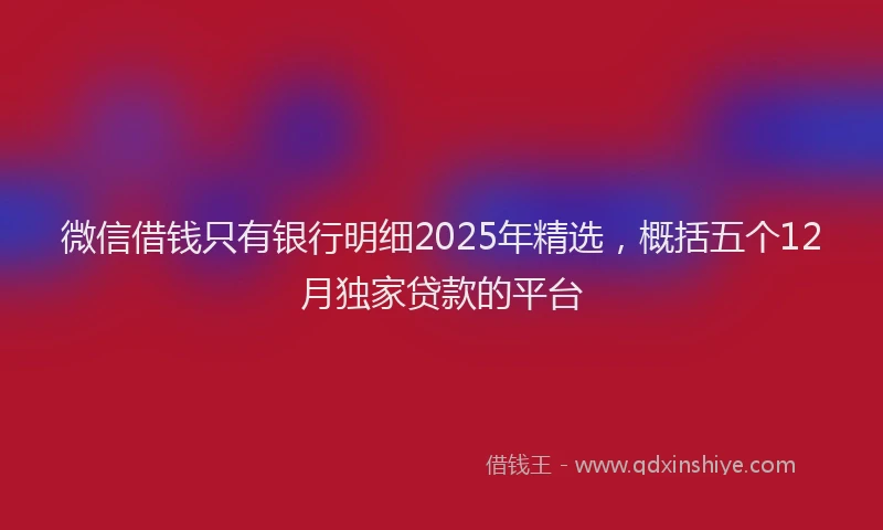 微信借钱只有银行明细2025年精选，概括五个12月独家贷款的平台