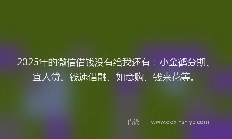2025年的微信借钱没有给我还有：小金鹤分期、宜人贷、钱速借融、如意购、钱来花等。