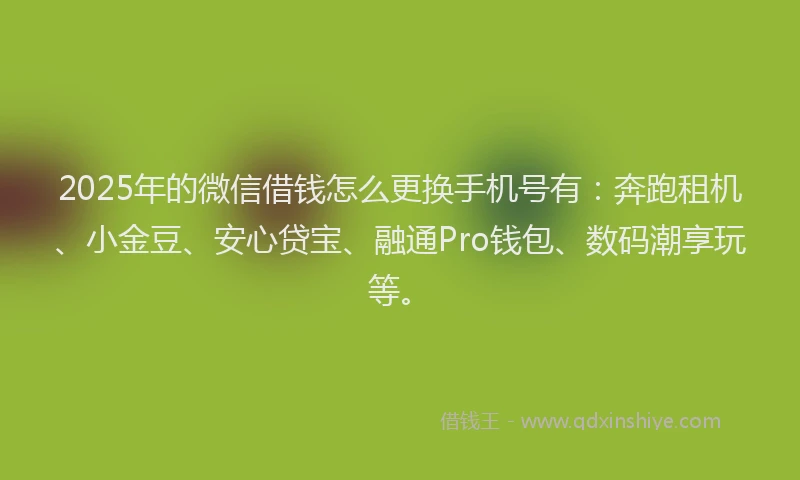 2025年的微信借钱怎么更换手机号有：奔跑租机、小金豆、安心贷宝、融通Pro钱包、数码潮享玩等。