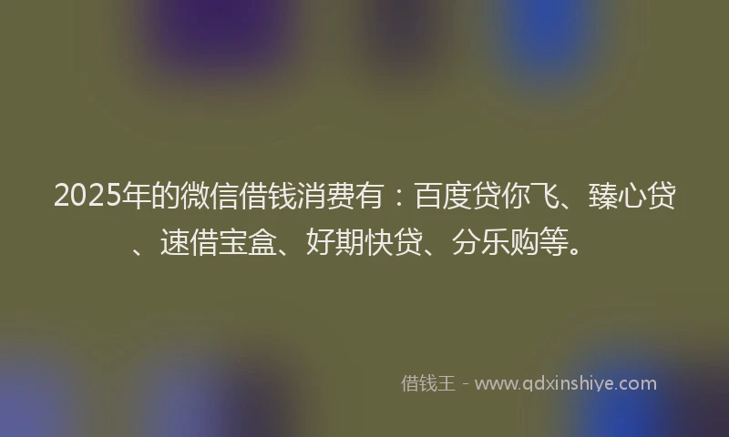 2025年的微信借钱消费有：百度贷你飞、臻心贷、速借宝盒、好期快贷、分乐购等。