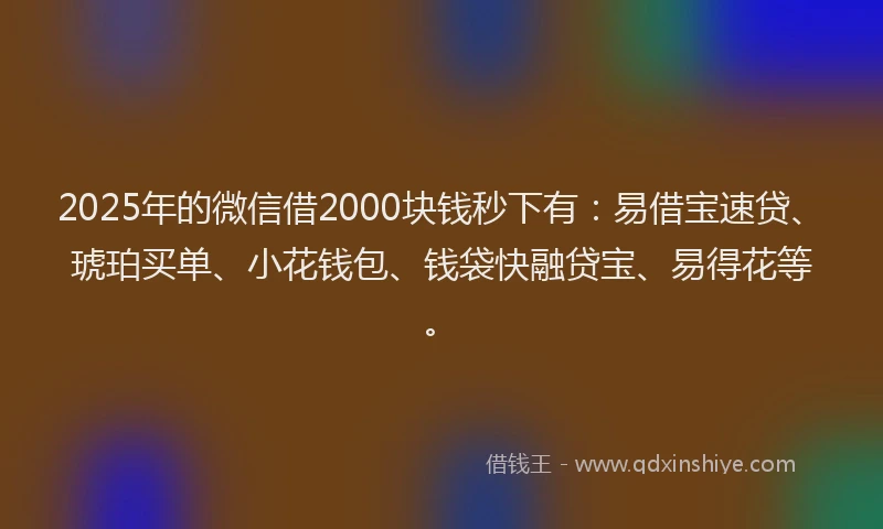2025年的微信借2000块钱秒下有：易借宝速贷、琥珀买单、小花钱包、钱袋快融贷宝、易得花等。