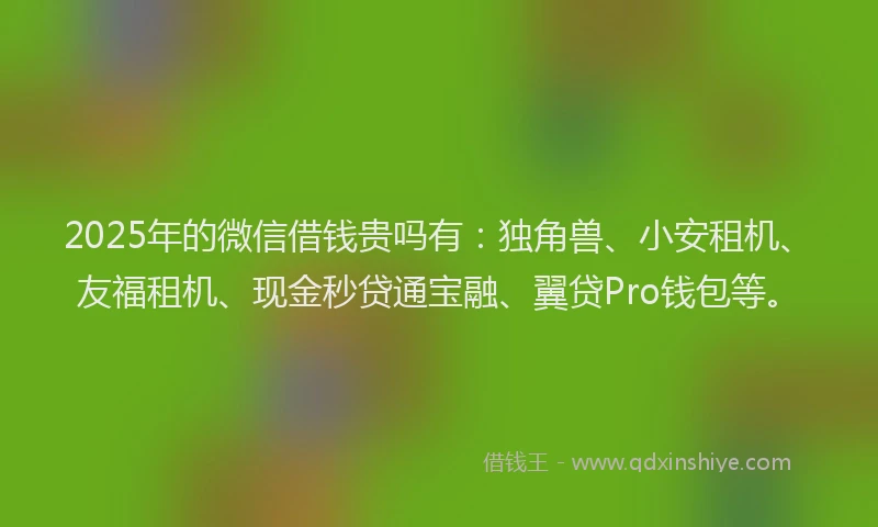 2025年的微信借钱贵吗有：独角兽、小安租机、友福租机、现金秒贷通宝融、翼贷Pro钱包等。