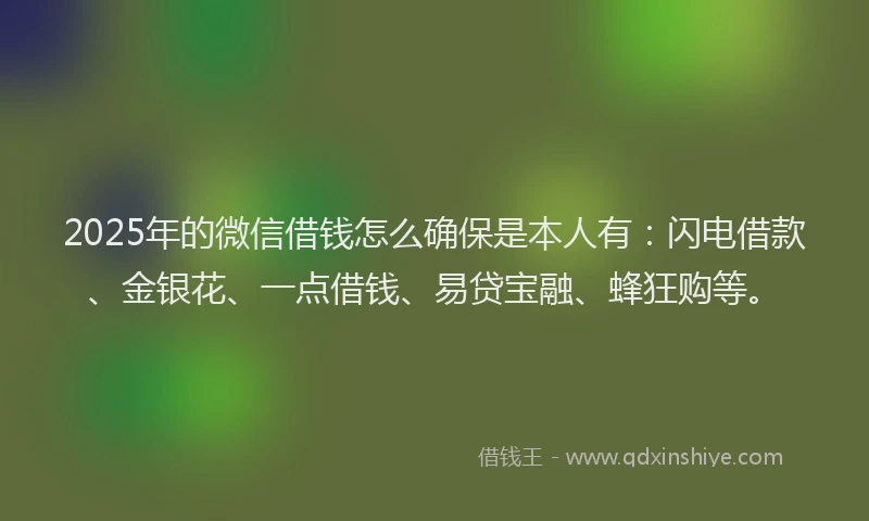 2025年的微信借钱怎么确保是本人有：闪电借款、金银花、一点借钱、易贷宝融、蜂狂购等。