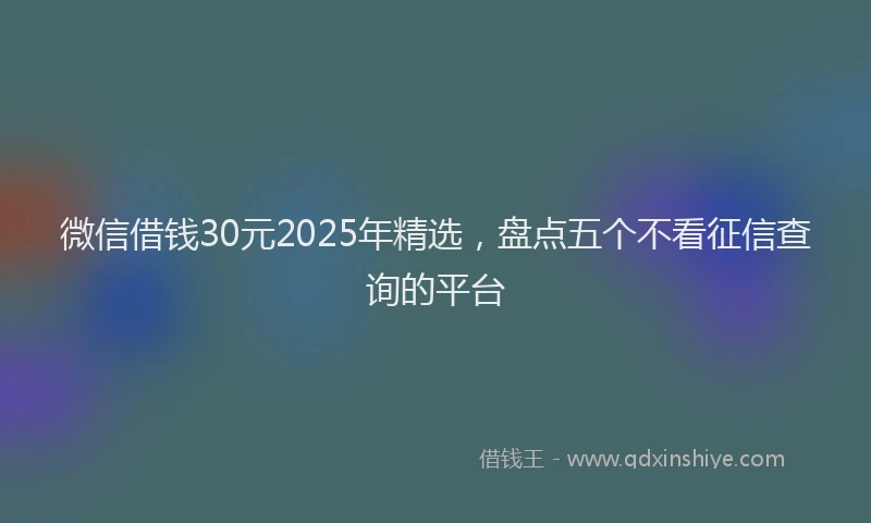 微信借钱30元2025年精选，盘点五个不看征信查询的平台