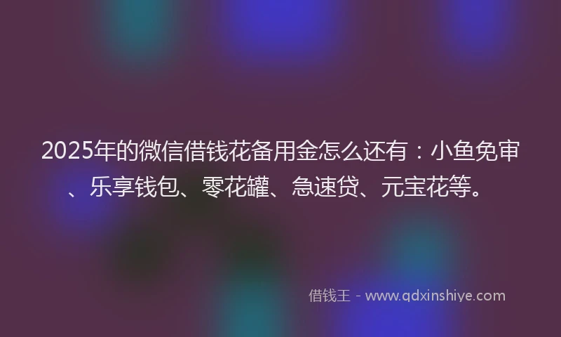 2025年的微信借钱花备用金怎么还有：小鱼免审、乐享钱包、零花罐、急速贷、元宝花等。