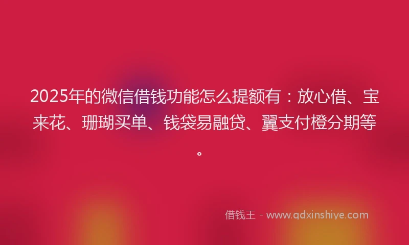 2025年的微信借钱功能怎么提额有：放心借、宝来花、珊瑚买单、钱袋易融贷、翼支付橙分期等。