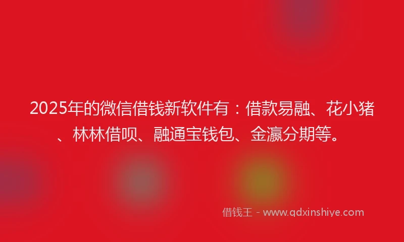 2025年的微信借钱新软件有：借款易融、花小猪、林林借呗、融通宝钱包、金瀛分期等。