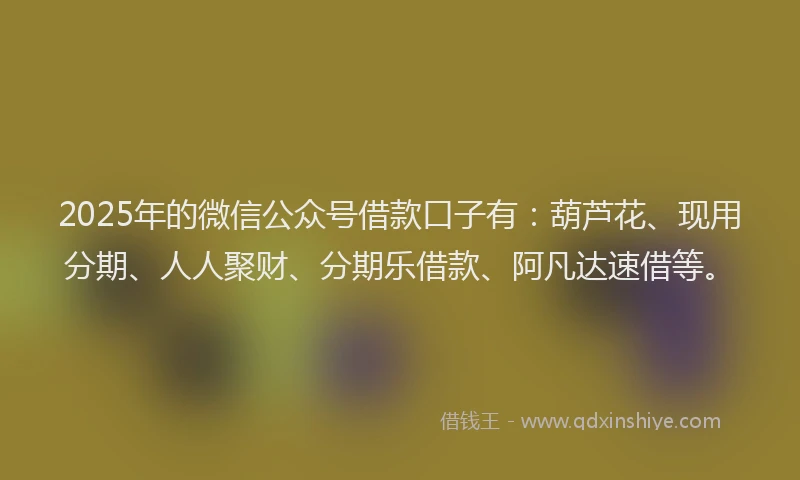 2025年的微信公众号借款口子有：葫芦花、现用分期、人人聚财、分期乐借款、阿凡达速借等。