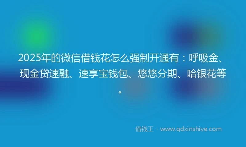 2025年的微信借钱花怎么强制开通有：呼吸金、现金贷速融、速享宝钱包、悠悠分期、哈银花等。