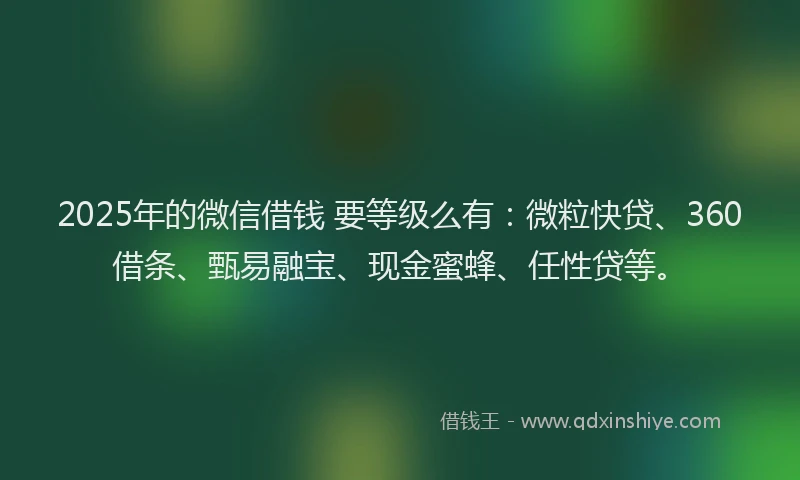 2025年的微信借钱 要等级么有：微粒快贷、360借条、甄易融宝、现金蜜蜂、任性贷等。