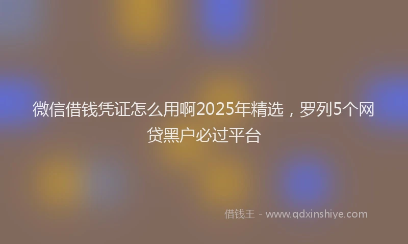 微信借钱凭证怎么用啊2025年精选，罗列5个网贷黑户必过平台