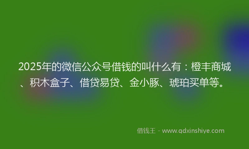 2025年的微信公众号借钱的叫什么有：橙丰商城、积木盒子、借贷易贷、金小豚、琥珀买单等。