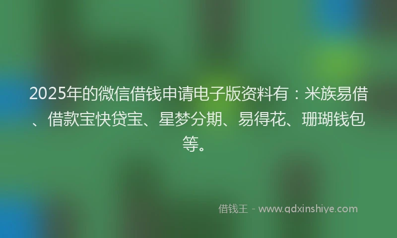 2025年的微信借钱申请电子版资料有：米族易借、借款宝快贷宝、星梦分期、易得花、珊瑚钱包等。
